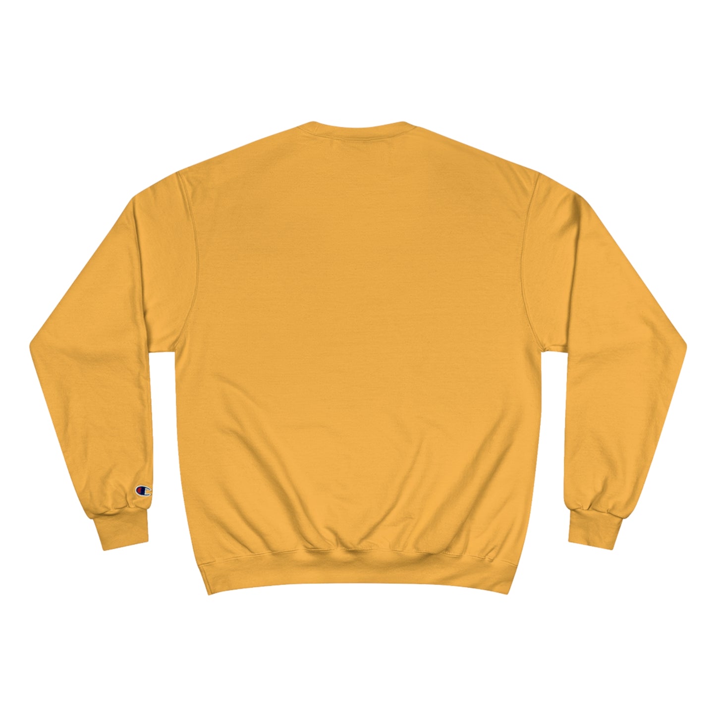Adult Champion Rainbow Ignite Sweatshirt